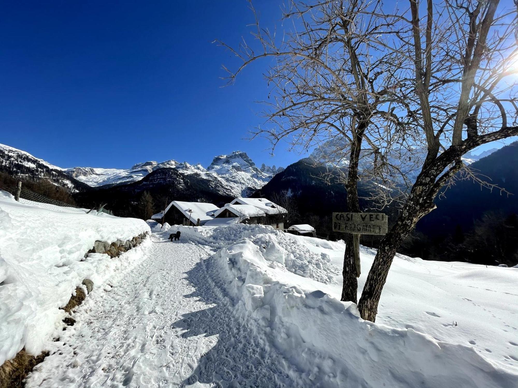 Villa Alpina Campiglio Madonna di Campiglio Bagian luar foto