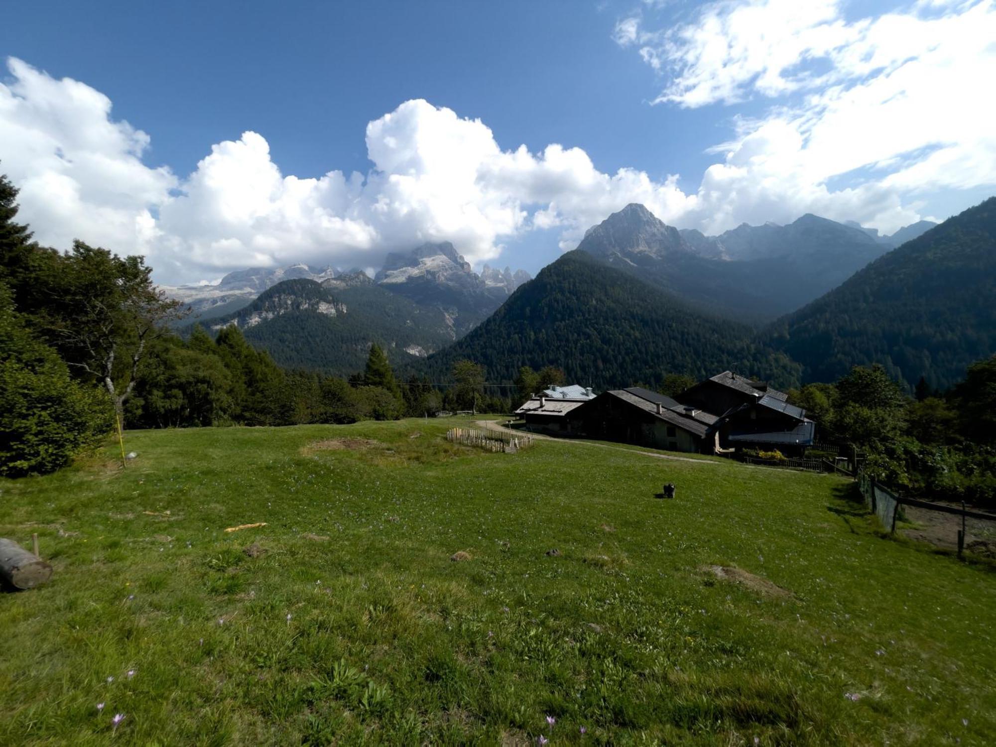 Villa Alpina Campiglio Madonna di Campiglio Bagian luar foto