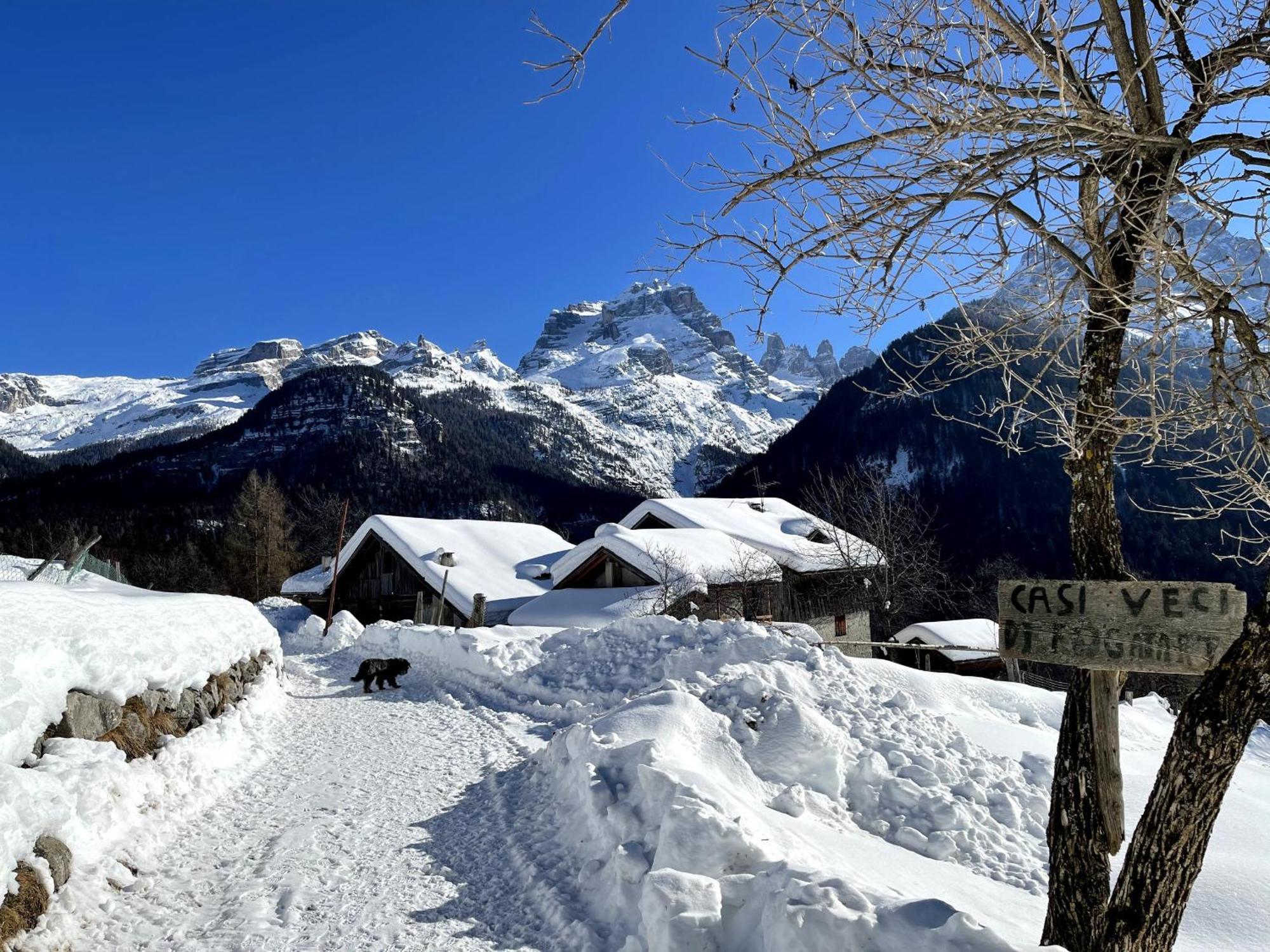Villa Alpina Campiglio Madonna di Campiglio Bagian luar foto