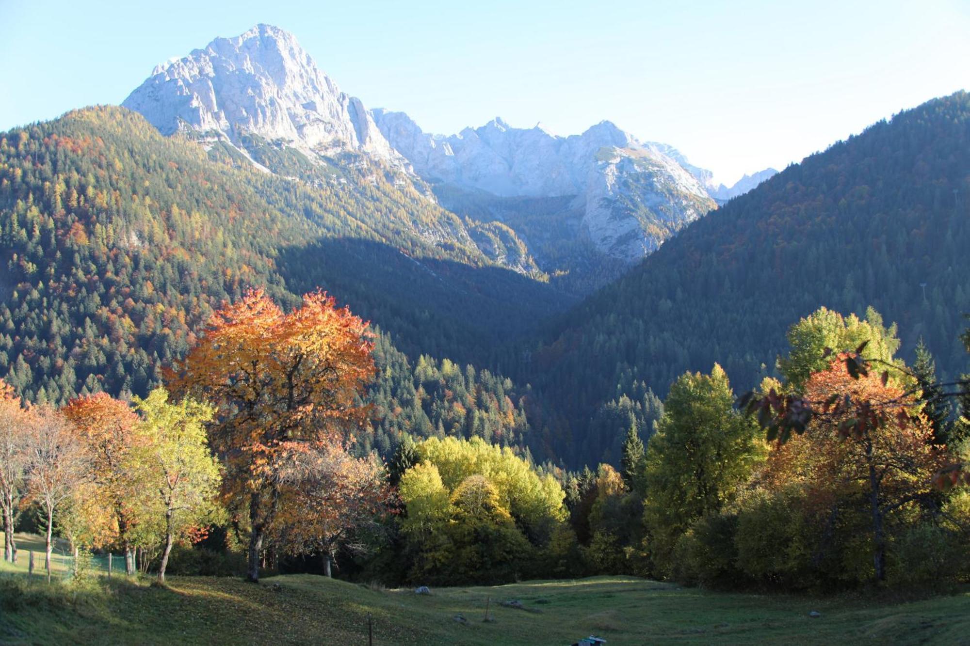 Villa Alpina Campiglio Madonna di Campiglio Bagian luar foto
