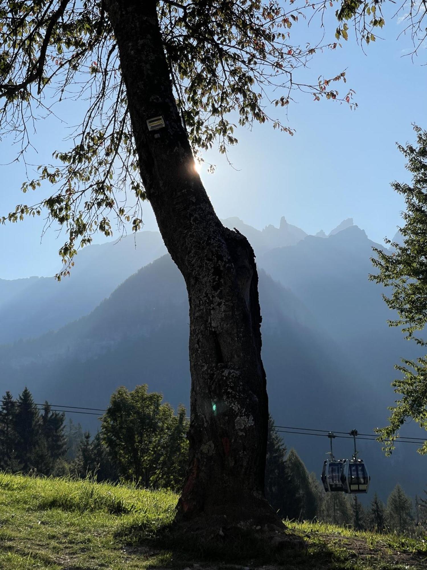 Villa Alpina Campiglio Madonna di Campiglio Bagian luar foto