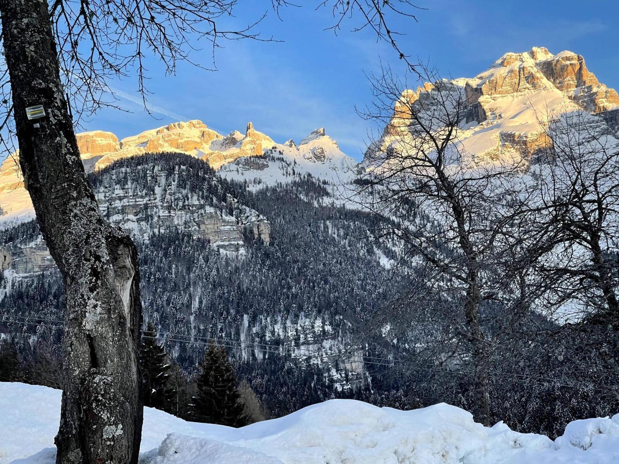 Villa Alpina Campiglio Madonna di Campiglio Bagian luar foto