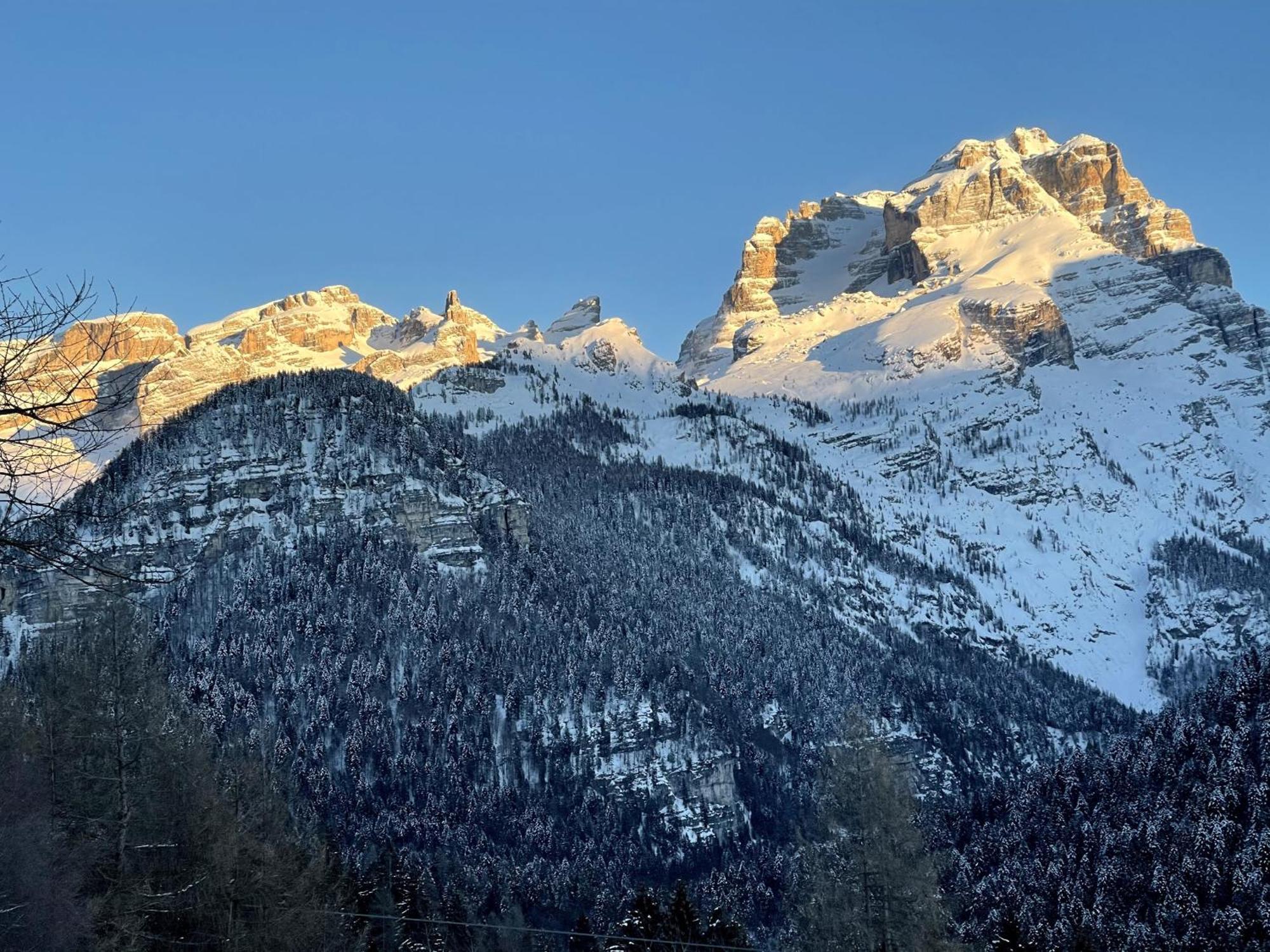 Villa Alpina Campiglio Madonna di Campiglio Bagian luar foto