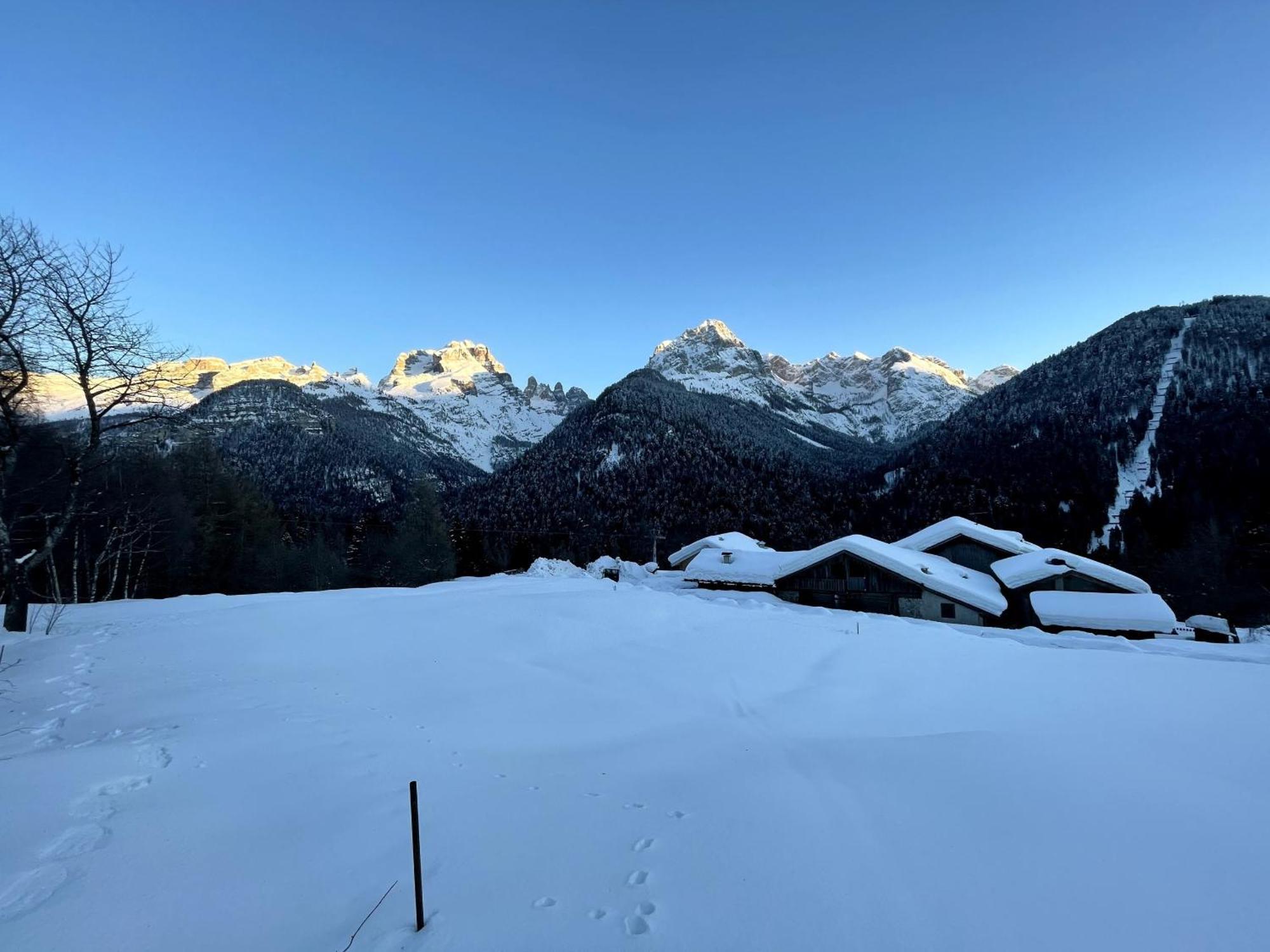 Villa Alpina Campiglio Madonna di Campiglio Bagian luar foto