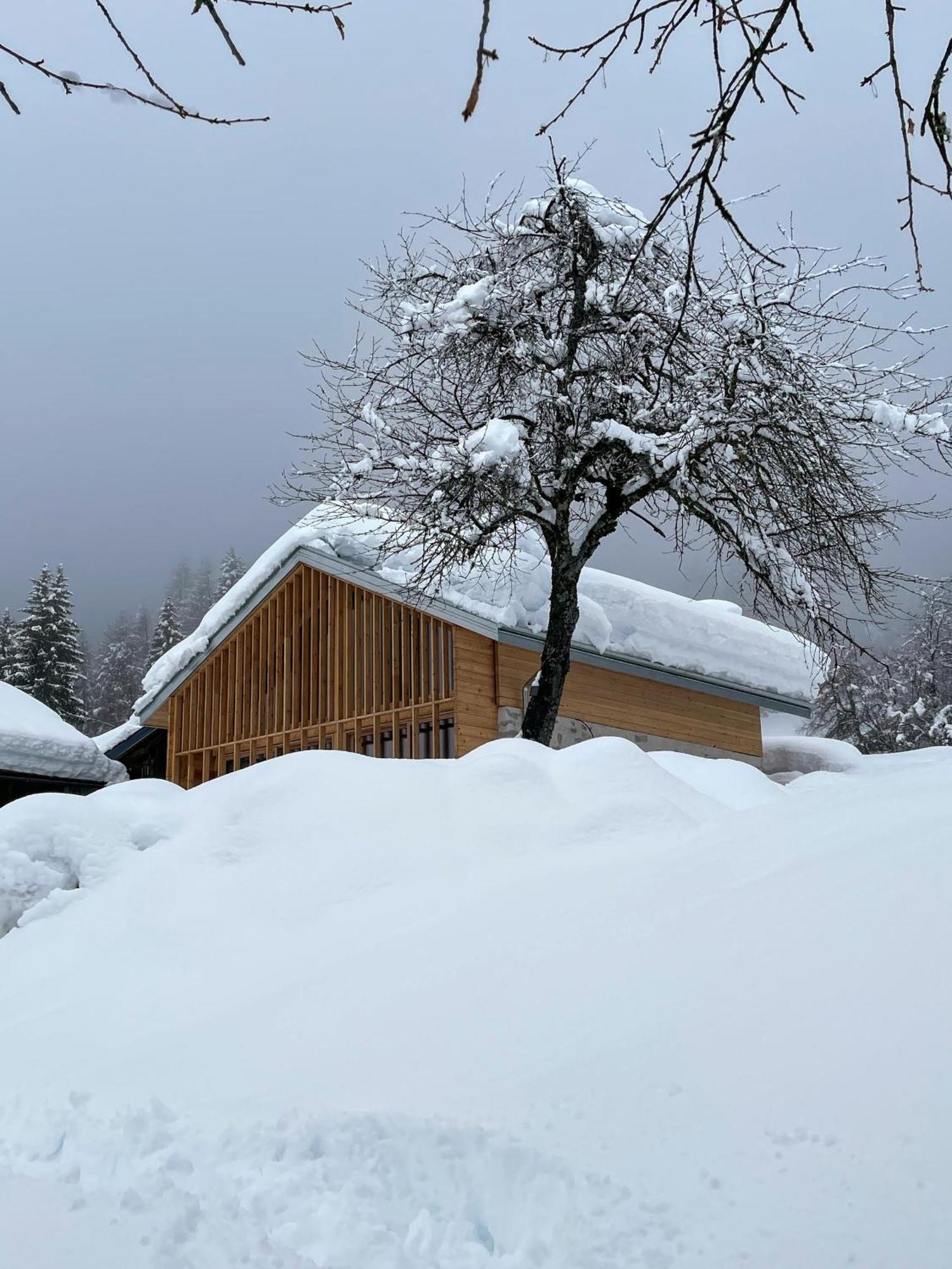 Villa Alpina Campiglio Madonna di Campiglio Bagian luar foto
