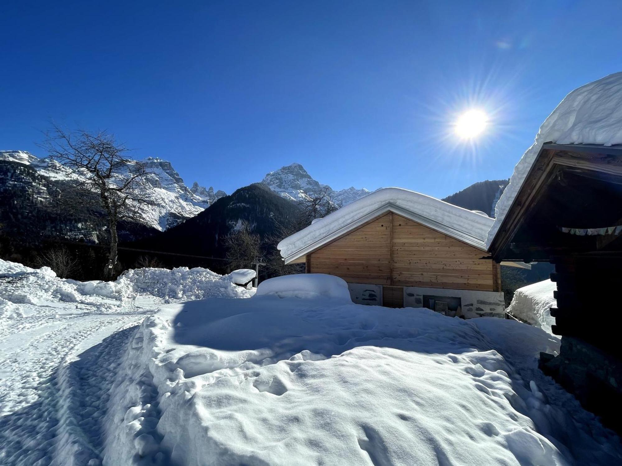 Villa Alpina Campiglio Madonna di Campiglio Bagian luar foto